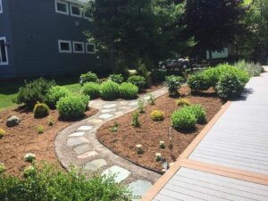 Sidewalk pathway with gravel and flagstone surrounded by mulched flower beds with shrubs