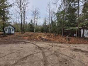 Vacant lot, uneven terrain with many tree stumps sticking up